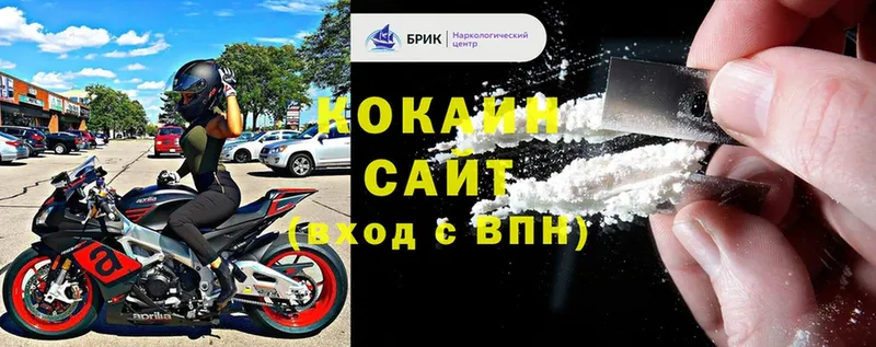 Cocaine Fish Scale  купить  сайты  Сосновка 